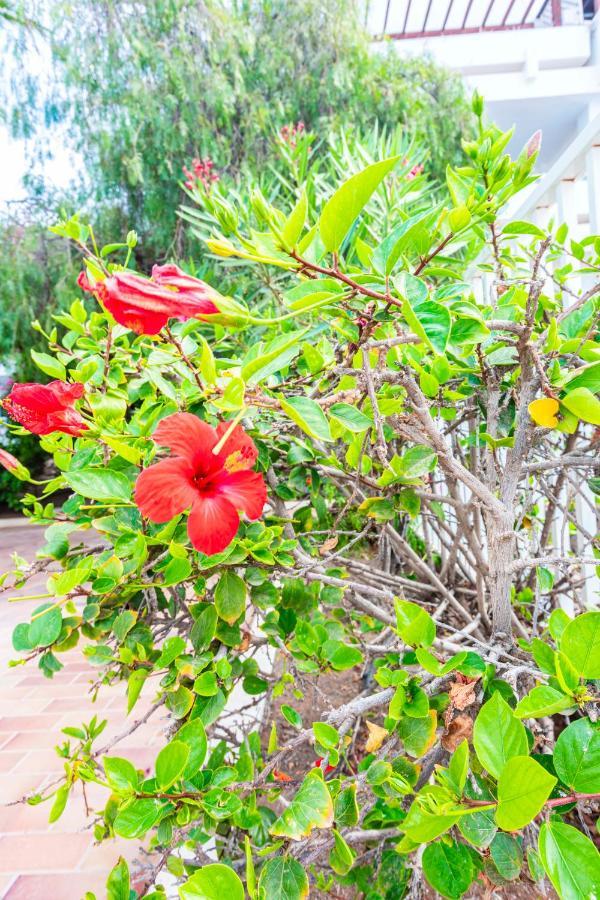 Vivienda Vacacional Sunny - Duplex Apartment 2Beds 2 Baths Costa Teguise Exteriör bild